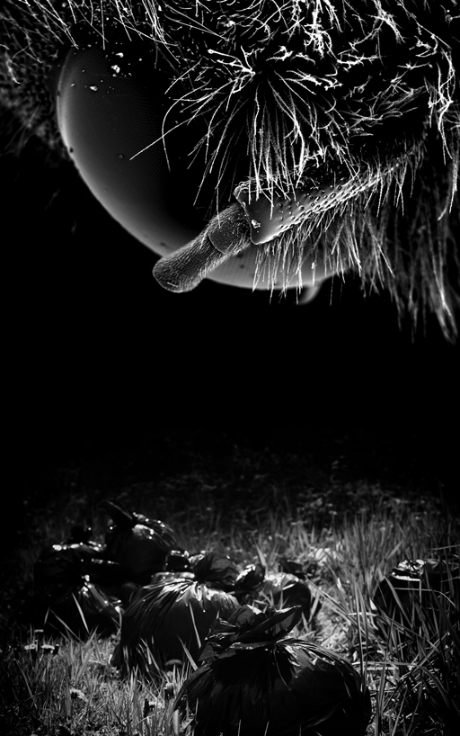 Flies like trash.